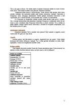 Referāts 'Dienvidamerika', 4.