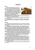 Referāts 'Dienvidamerika', 9.