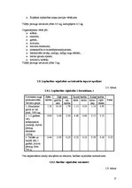 Referāts 'Saimniecības vispārējais raksturojums un tās analīze', 17.