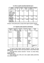 Referāts 'Saimniecības vispārējais raksturojums un tās analīze', 21.