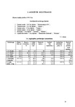 Referāts 'Saimniecības vispārējais raksturojums un tās analīze', 24.