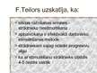 Prezentācija 'Frederiks V.Teilors', 7.