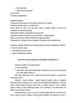 Konspekts 'Kritika', 5.