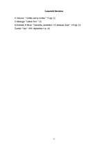 Konspekts 'Kritika', 11.