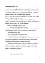 Referāts 'Reklāmas plāns uzņēmumam "X"', 4.