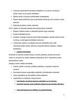 Referāts 'Reklāmas plāns uzņēmumam "X"', 6.