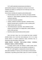 Referāts 'Reklāmas plāns uzņēmumam "X"', 7.