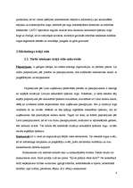 Referāts 'Reklāmas plāns uzņēmumam "X"', 8.