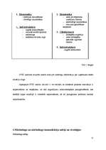 Referāts 'Reklāmas plāns uzņēmumam "X"', 17.