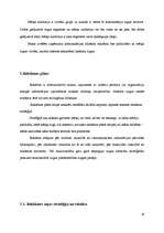 Referāts 'Reklāmas plāns uzņēmumam "X"', 20.