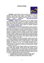 Eseja 'Cilvēka attīstība mūžizglītības un ilgtspējīgas izglītības kontekstā', 2.