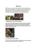 Referāts 'Koku gāšana, atzarošana un sagarumošana', 10.