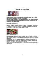 Referāts 'Koku gāšana, atzarošana un sagarumošana', 15.