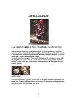 Referāts 'Koku gāšana, atzarošana un sagarumošana', 17.