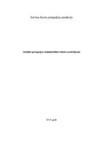 Referāts 'Sociālās percepcijas subjektivitātes faktoru izvērtējums', 1.