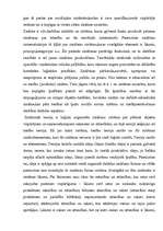 Konspekts 'Tiesību teorijas problēmas', 13.