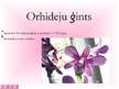 Prezentācija 'Orhidejas', 3.