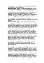 Referāts 'Apģērbs', 5.