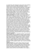 Referāts 'Apģērbs', 6.