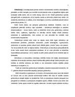 Konspekts 'Mazās firmas un globalizācija', 2.