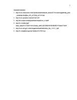 Konspekts 'Mazās firmas un globalizācija', 5.