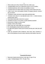 Referāts 'Alternatīvās skolas - Valdorfskolas raksturojums', 11.