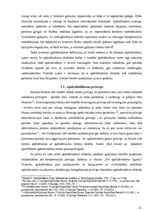 Diplomdarbs 'Apdrošināšanas atlīdzības izmaksas juridiskā problemātika īpašuma apdrošināšanas', 12.