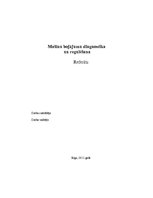 Referāts 'Mašīnu bojājumu diagnostika un regulēšana', 1.