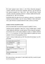 Referāts 'SIA “Pļaviņu komunālie pakalpojumi” finanšu analīze', 20.