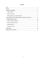 Referāts 'Perikls: personība un politika', 2.