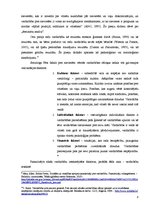 Prakses atskaite 'Vardarbība pret sievieti ģimenē kā sociāla problēma', 8.