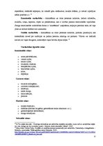 Prakses atskaite 'Vardarbība pret sievieti ģimenē kā sociāla problēma', 12.