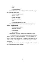 Referāts 'Konkurētspējas noteikšana starp AS "Latfood" un "Estrella"', 30.