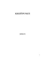 Referāts 'Kredītpunkti', 1.