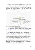 Referāts 'Peļņas analīze valsts akciju sabiedrībā "Latvijas valsts meži"', 15.