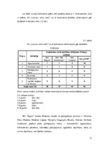 Referāts 'Peļņas analīze valsts akciju sabiedrībā "Latvijas valsts meži"', 21.