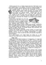 Referāts 'Senās Ēģiptes tautsaimniecība', 5.