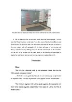 Konspekts 'New Salon Presentation', 3.