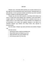 Referāts 'Komercbanku darbība vērtspapīru tirgū', 3.