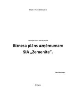 Biznesa plāns 'Biznesa plāns', 1.