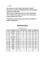 Biznesa plāns 'Biznesa plāns', 6.
