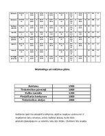Biznesa plāns 'Biznesa plāns', 8.