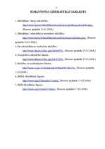 Referāts 'Dzīvojamo māju pārvaldīšanas un apsaimniekošanas formas', 11.