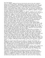 Eseja 'Acer Case Analysis', 1.