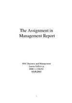 Referāts 'Management Report', 1.