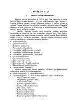 Referāts 'Ķekavas novada pašvaldības budžeta izdevumu analīze', 22.