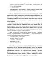 Diplomdarbs 'Saimnieciskās darbības analīze SIA "XYZ" ', 26.