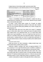 Diplomdarbs 'Saimnieciskās darbības analīze SIA "XYZ" ', 53.