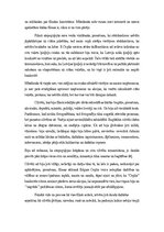 Eseja 'Argumentēta eseja par filmu ''Ceplis"', 2.