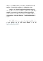 Eseja 'Argumentēta eseja par filmu ''Ceplis"', 3.